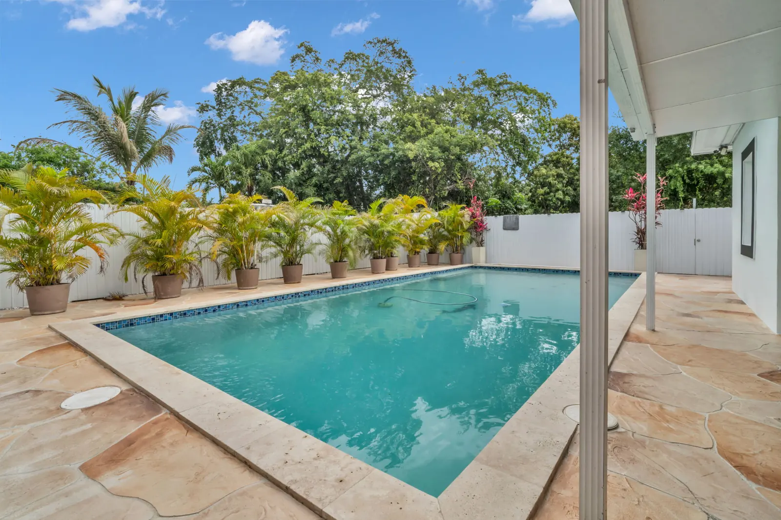 Pool with tropical landscaping in North Miami